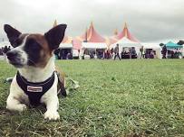 Shrewsbury Folk Festival