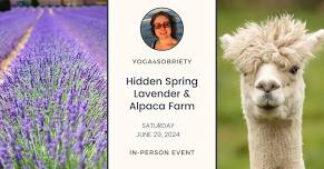 Hidden Spring Lavender & Alpaca Farm