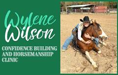 Wylene Wilson Confidence Building and Horsemanship Clinic