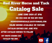 Catalog sale &after catalog horses