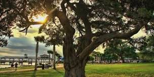 A Night of Live Music at Neptune Park, on St. Simons Island, GA.