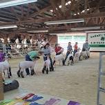 LaSalle County 4-H & Junior Fair