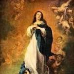 11am Assumption Novena Mass - Fr. Maxwell   — Our Lady of Martyrs Shrine