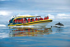 Hobart: Bruny Island Wilderness Coast Eco Cruise with Lunch