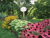 Speaker Anne Bartlett on Growing Hydrangeas followed by a General Meeting