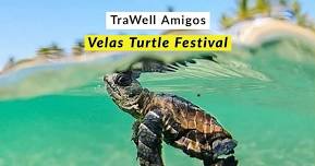 TraWell Amigos:: Velas Turtle Festival 2024