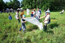 4th Annual BioBlitz at the Ashton Prairie Living Laboratory