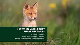 Saturday Explorers-Native Mammals that Share the Trails