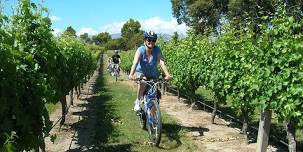 Spend the day biking from winery to winery while soaking up unbeatable views and tasting world-class wines on this full-day guided tour.