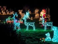 Winter Fantasy of Lights