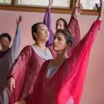 Eurythmy Spring Valley Postgraduate Performance At Copake Camphill — Eurythmy Spring Valley | Chestnut Ridge New York