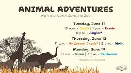 Animal Adventure