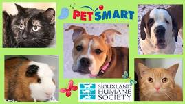 Petsmart Offsite Adoption Event