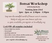 Bonsai Workshop