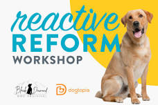 Reactive Reform Workshop