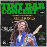 Tiny Bar Concert: Xulu Jones