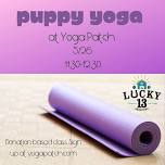 Puppy Yoga at Yoga Patch