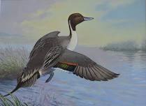 PEOPLE-NATURE-ART WITH RICK ALLEY, JR., DUCK STAMP PAINTER