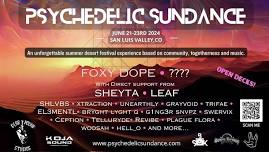 Psychedelic Sundance - A Summer Solstice Bass Festival