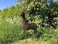 Willow Deer