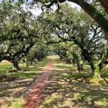 Oak Alley and Laura Plantation Tour with Transportation from New Orleans