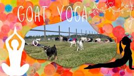 Goat Yoga