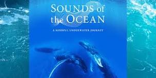 Sounds of the Ocean: A Mindful Underwater Journey