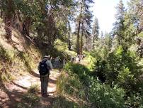 Agua Dulce Creek Field Trip