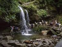 100th Anniversary Mt. LeConte Lodge Trip