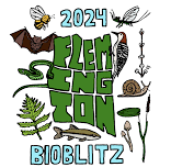 Flemington Bioblitz