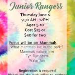 Junior Ranger Programs