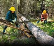 Falls Creek Trail to Legore Mine (moderate-strenuous)