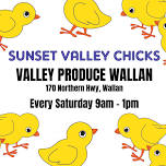 Sunset Valley Chicks at Valley Produce Wallan Every Saturday