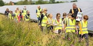 Solar Farm Visit