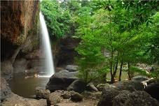 Explore the Wild & Scenic Little Beaver Creek River