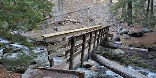 Hike with a Ranger: Anadromous Fish and Aquatic Ecosystems near Tamanawas Falls