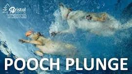 Pooch Plunge