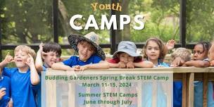 Summer STEM Camps