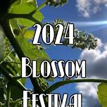 2024 Blossom Fest