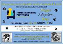 Doggie Adoption Day w/ Humane Animal Partners