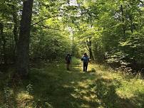 A Guided Herb Plant Identification Walk with Gigi Stafne