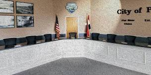 City Council Meeting