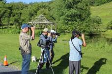 Birding at Sheep Hill: Spring Migration