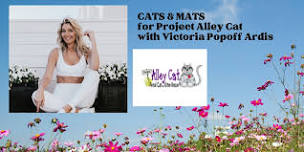 Cats & Mats for Project Alley Cat