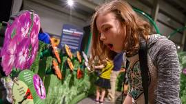 Amazing Pollinators Exhibit at Turtle Bay