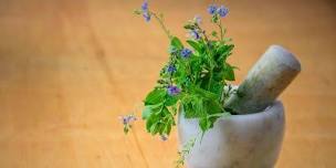 Herbal Medicine Making Spring Series w/Dr. Ashley