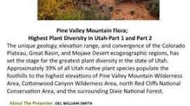 Pine Valley Mountain Flora; Highest Plant Diversity in Utah-Part 1 and Part 2