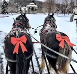 Horse & Carriage Rides with the Clydesdales