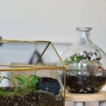 Terrarium Class