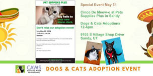 Dogs & Cats Adoption Event - Cinco de Meow-o at Pet Supplies Plus in Sandy!